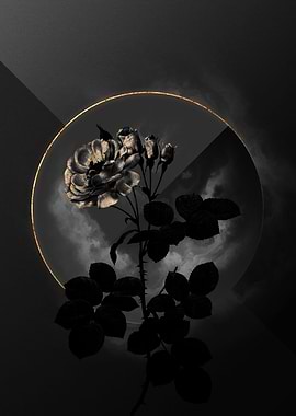 Shadow Rose Black and Gold