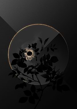 Shadow Rose Black and Gold