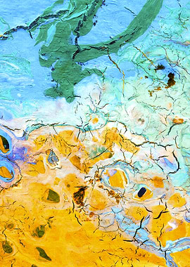 CRAZY PLAY OF COLORS 1C