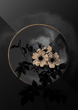 Shadow Rose Black and Gold