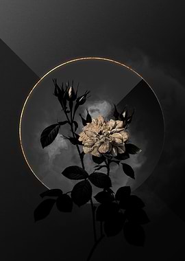 Shadow Rose Black and Gold