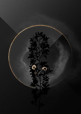 Shadow Rose Black and Gold