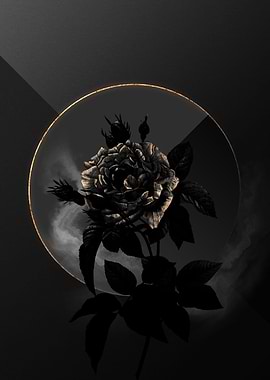 Shadow Rose Black and Gold