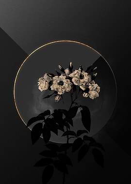 Shadow Rose Black and Gold