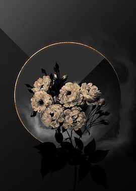 Shadow Rose Black and Gold