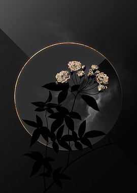 Shadow Rose Black and Gold