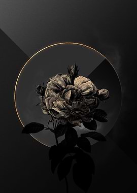 Shadow Rose Black and Gold