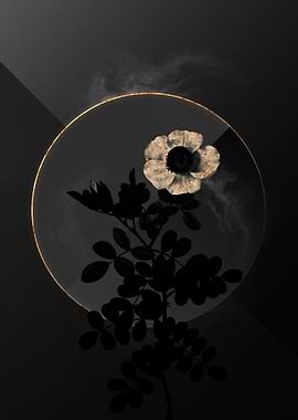 Shadow Rose Black and Gold