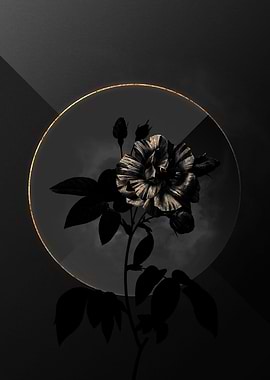 Shadow Rose Black and Gold