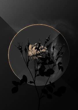 Shadow Rose Black and Gold