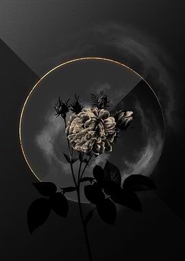 Shadow Rose Black and Gold