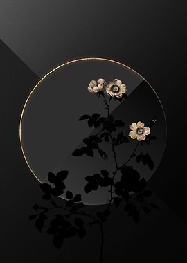 Shadow Rose Black and Gold