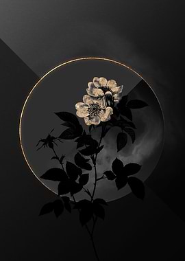 Shadow Rose Black and Gold