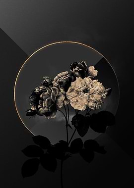 Dark Roses Black and Gold