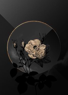 Shadow Rose Black and Gold
