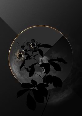 Dark Roses Black and Gold