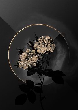 Shadow Rose Black and Gold