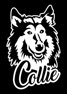Collie