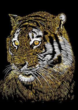 Tiger Gold