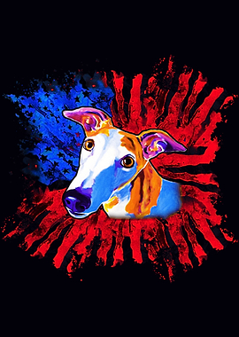 Colorful USA Flag Dog