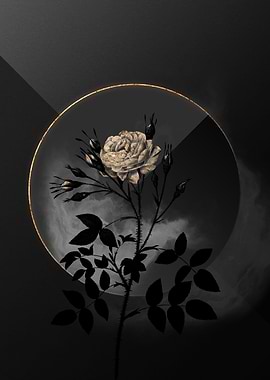 Shadow Rose Black and Gold