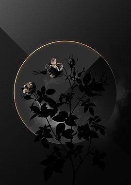 Dark Roses Black and Gold
