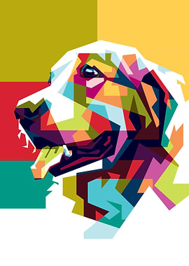 Colorful Dog Pet Animal