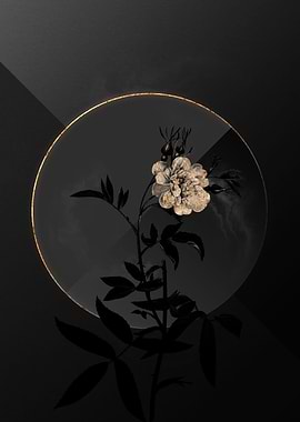 Shadow Rose Black and Gold