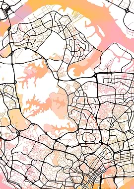 Singapore Street Map