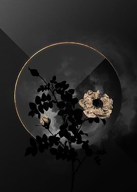 Shadow Rose Black and Gold