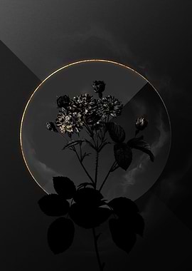 Shadow Rose Black and Gold