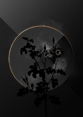 Dark Roses Black and Gold