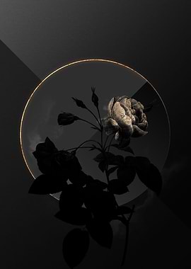 Dark Roses Black and Gold