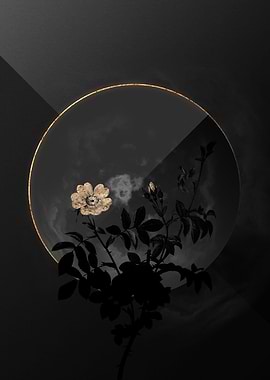 Shadow Rose Black and Gold