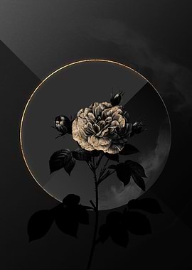 Shadow Rose Black and Gold