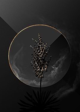 Dark Adams Needle Gold