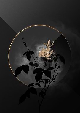 Shadow Rose Black and Gold