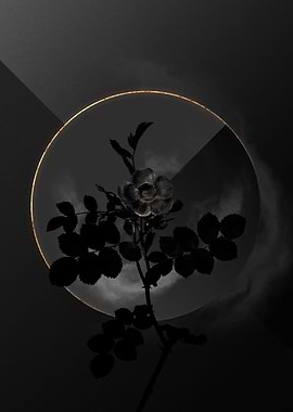 Dark Roses Black and Gold