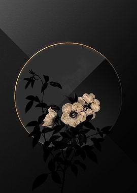 Shadow Rose Black and Gold