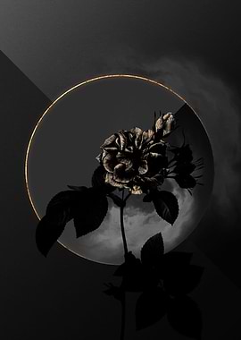 Dark Roses Black and Gold