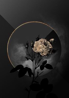 Shadow Rose Black and Gold