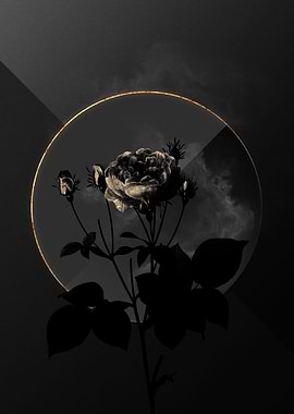 Dark Roses Black and Gold