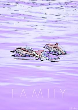 FAMILY Dolphins