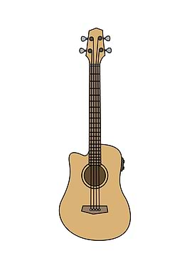 Acoustic Guitar