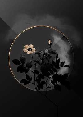 Shadow Rose Black and Gold