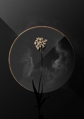 Dark Black and Gold Flower