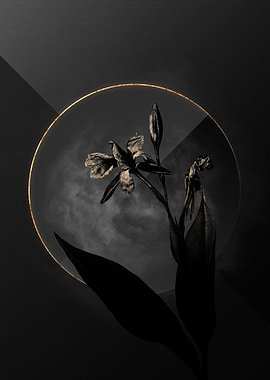 Black Eveglade rBandana