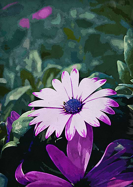 nature beauty flower