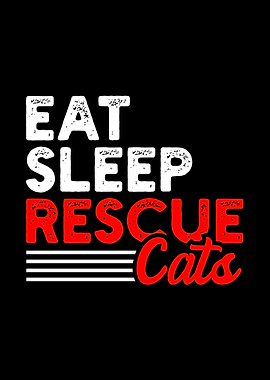 Cat Kitten Kitty Rescue