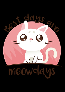 meowdays cat